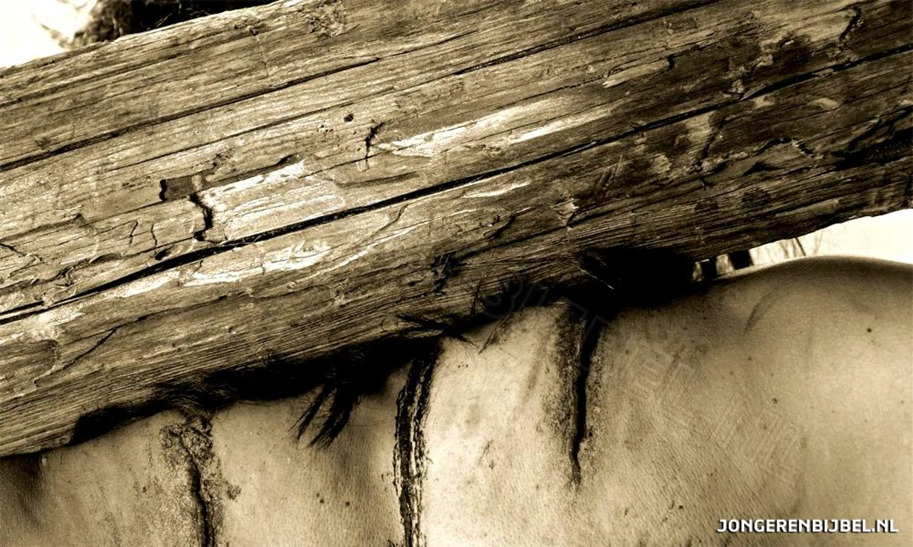 Uitgelichte afbeelding