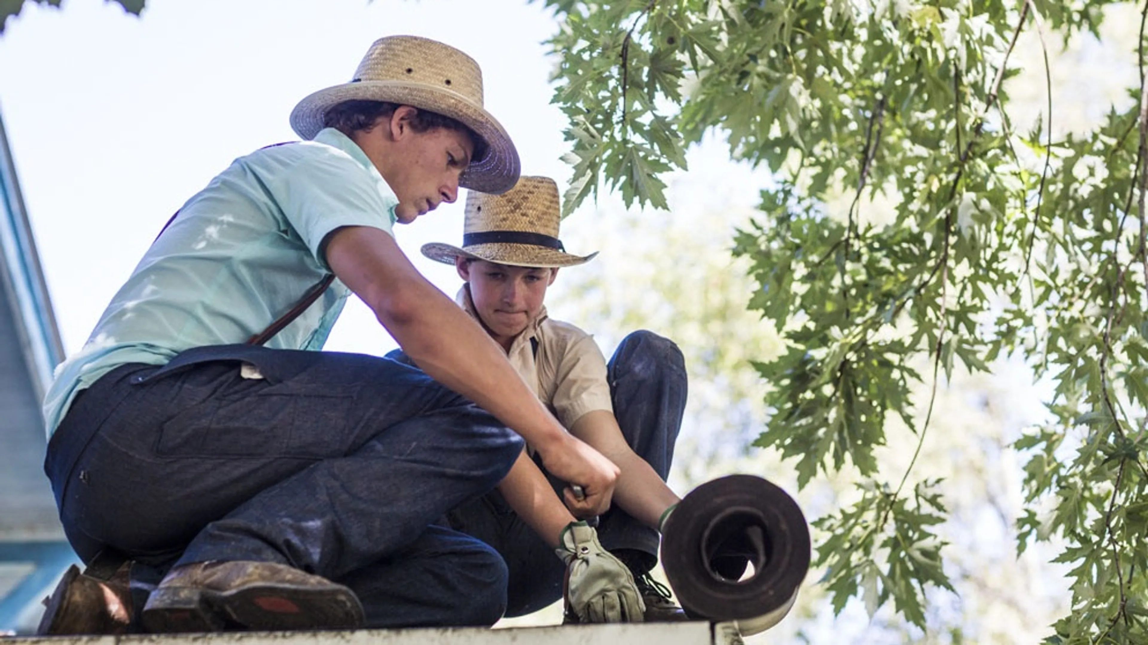 Uitgelichte afbeelding