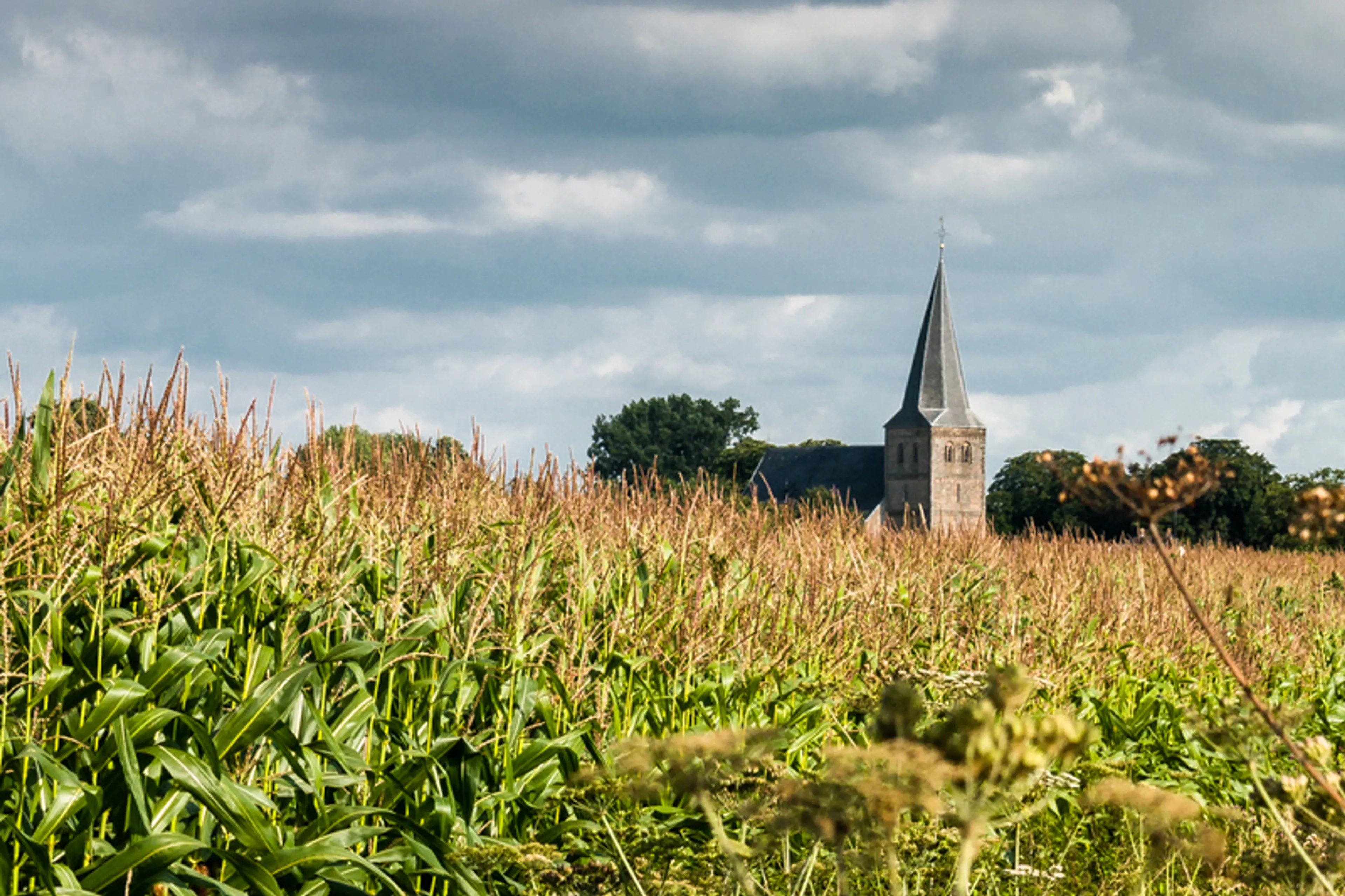 Uitgelichte afbeelding