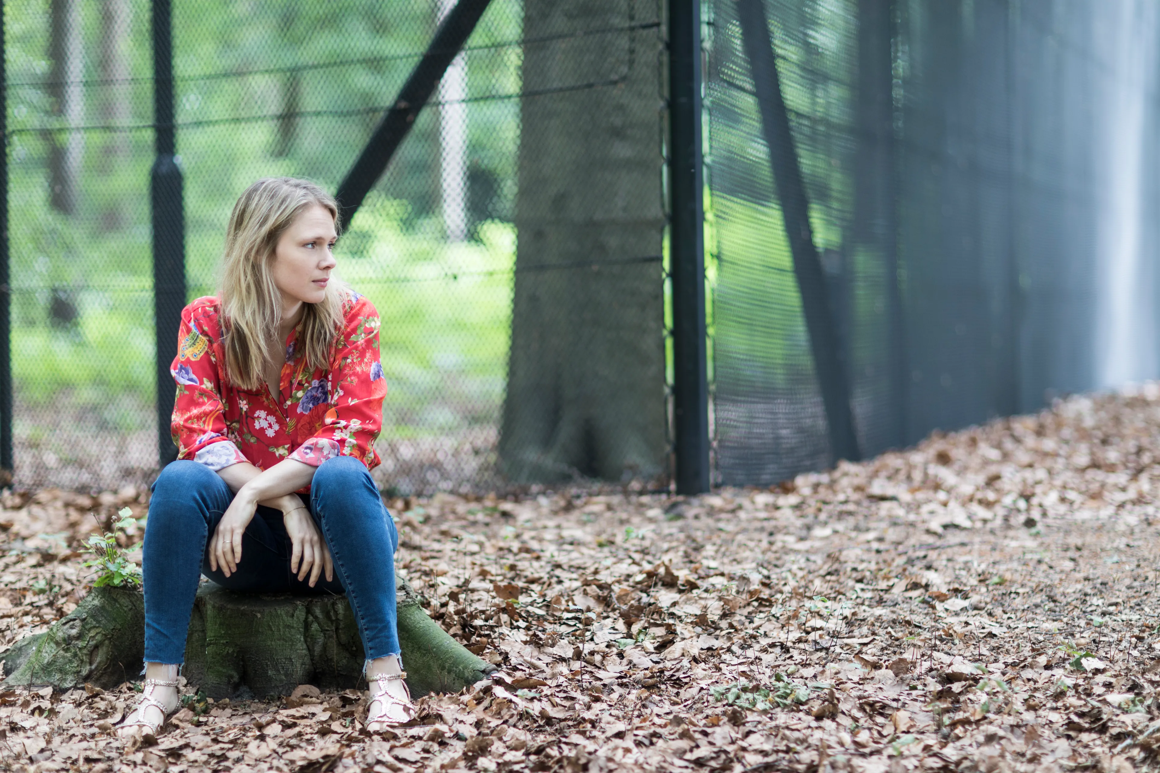 Uitgelichte afbeelding