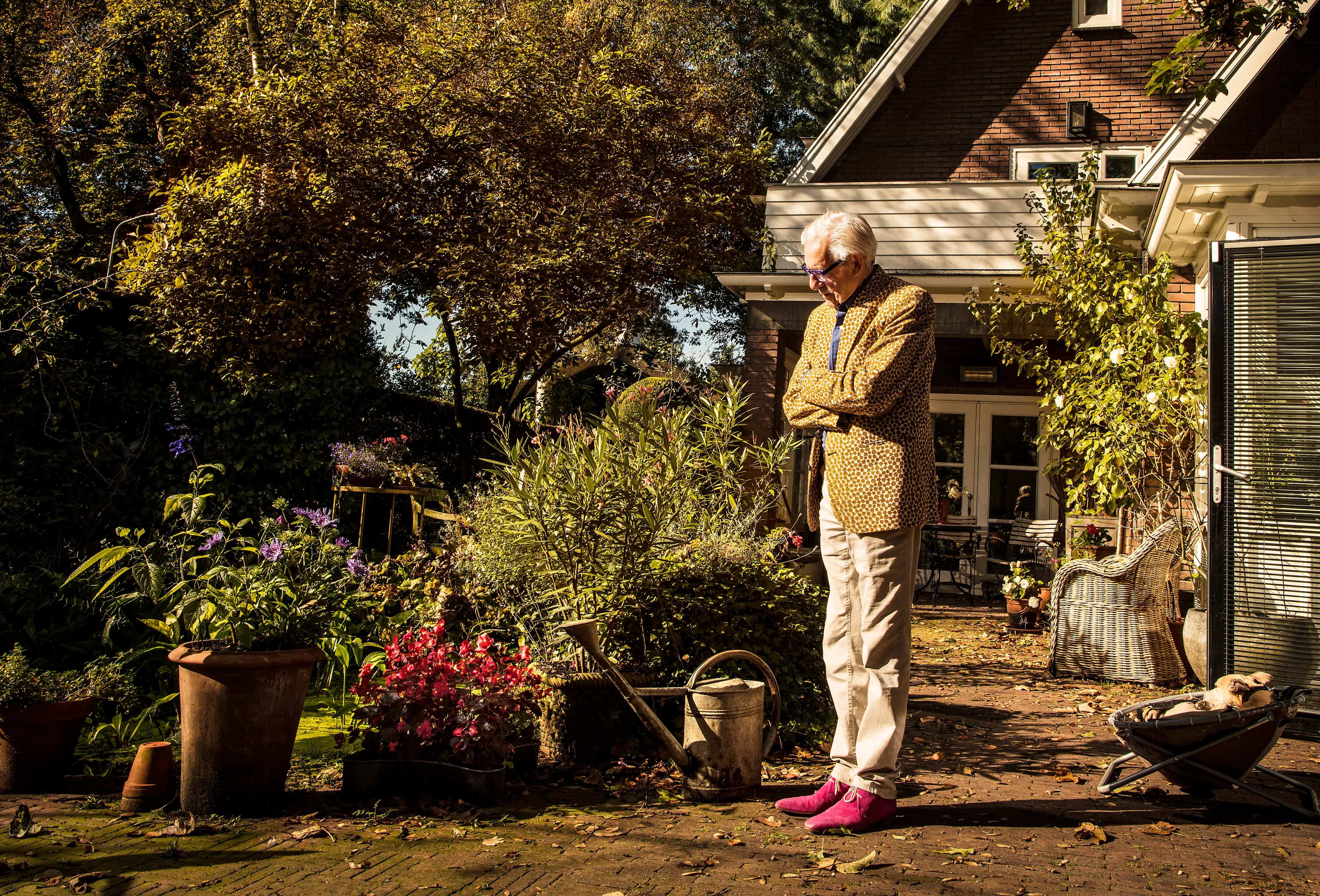 Uitgelichte afbeelding