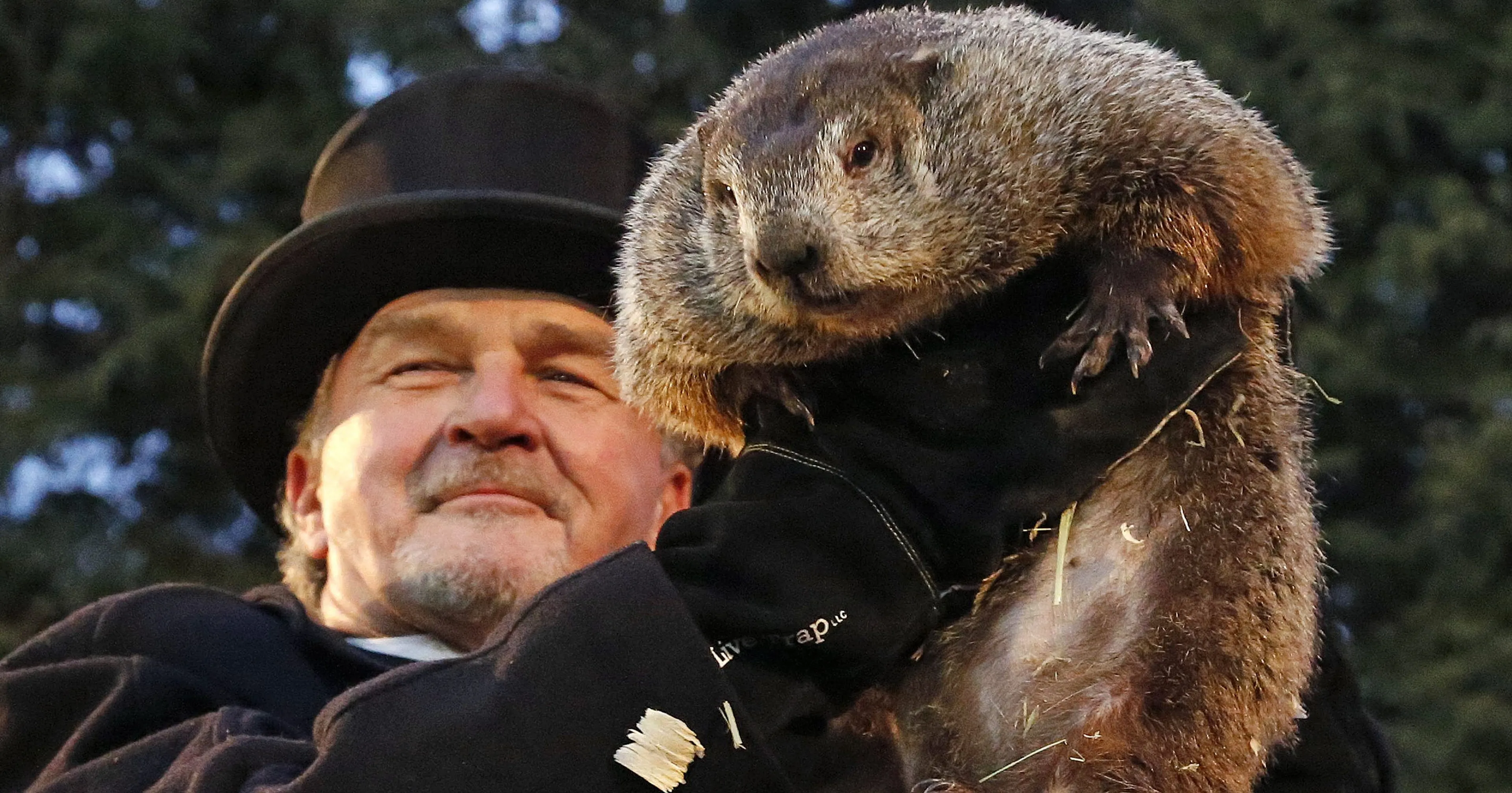 Uitgelichte afbeelding