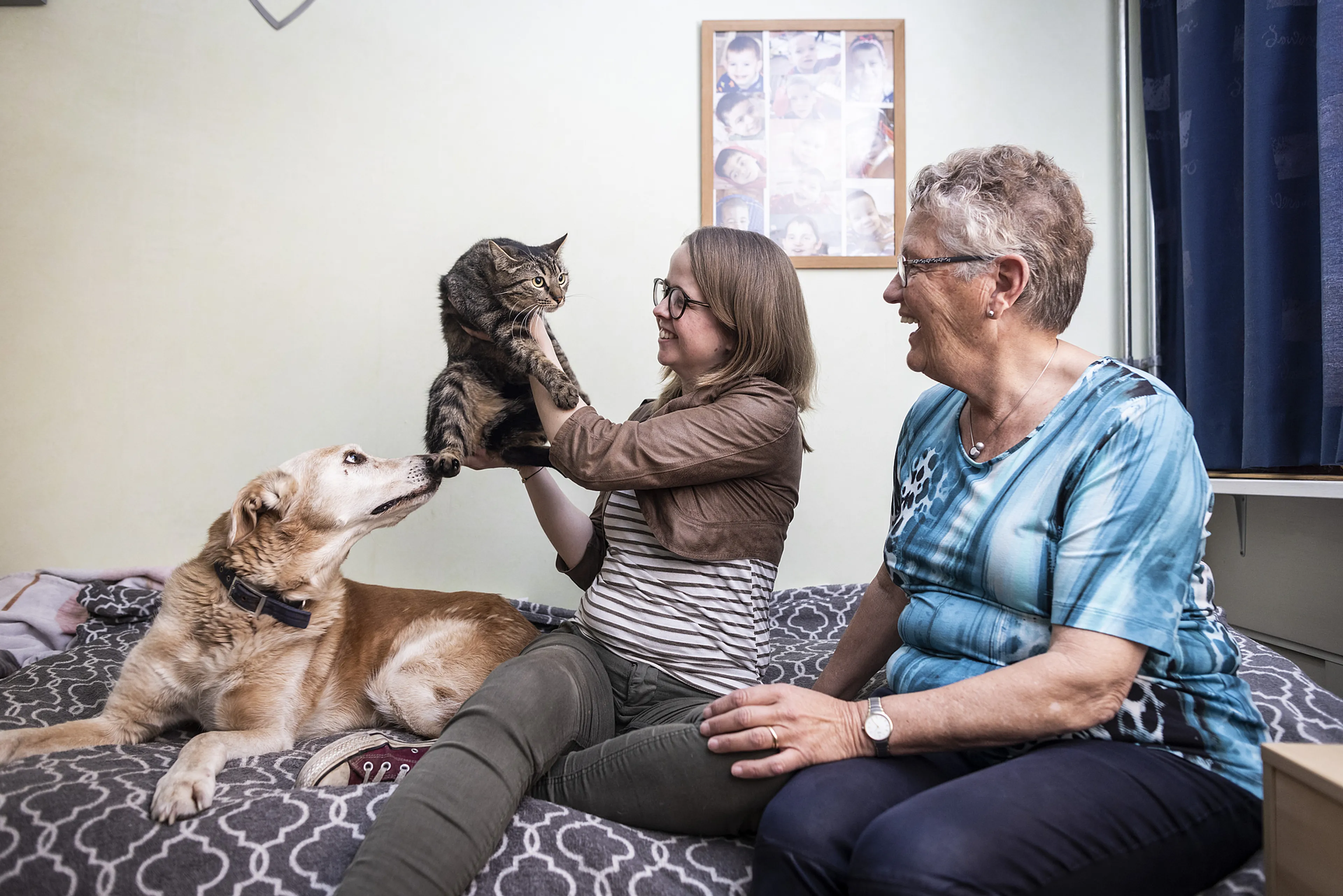 Uitgelichte afbeelding