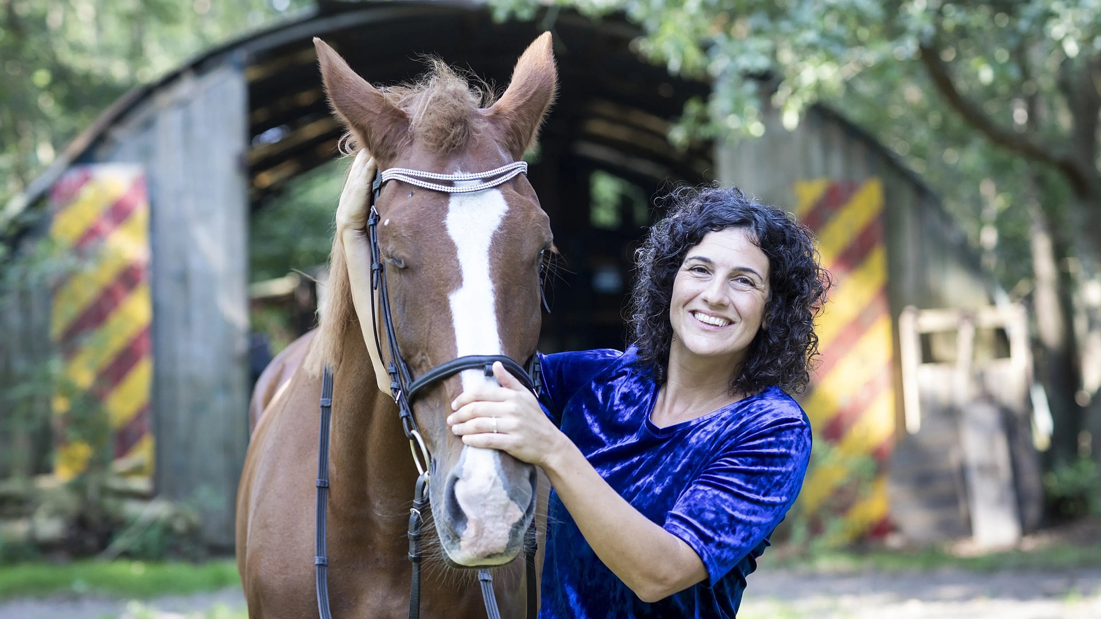 Uitgelichte afbeelding