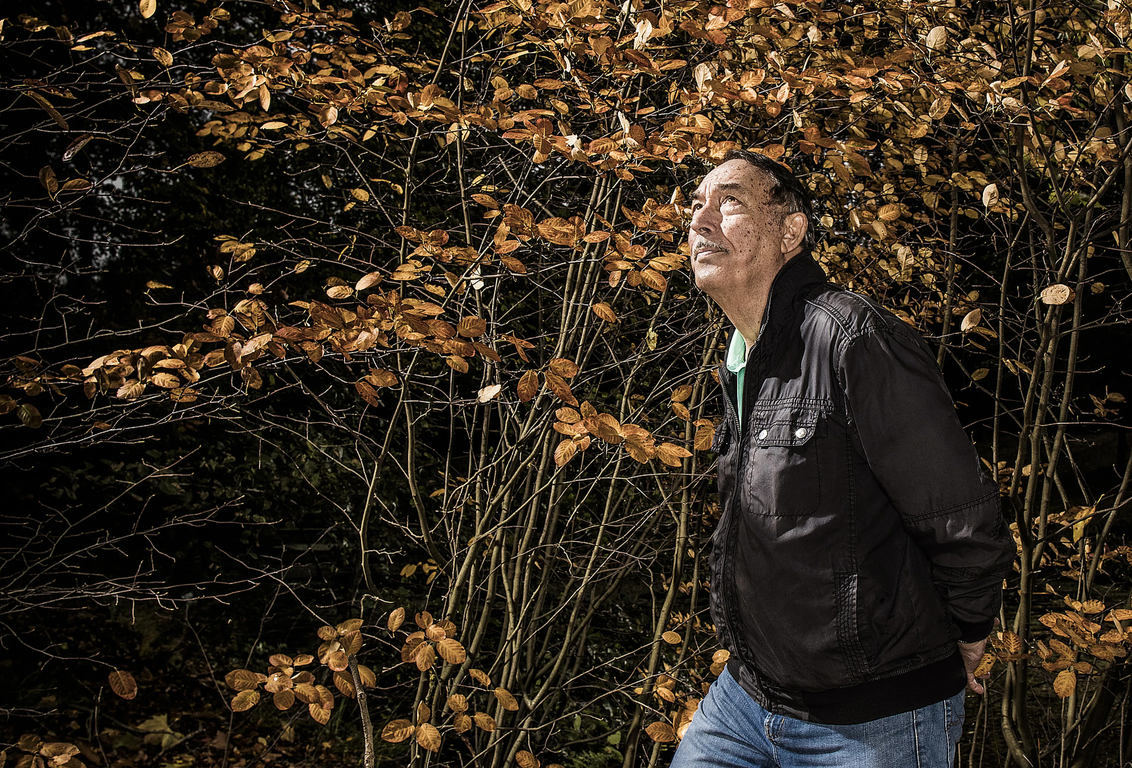 Uitgelichte afbeelding