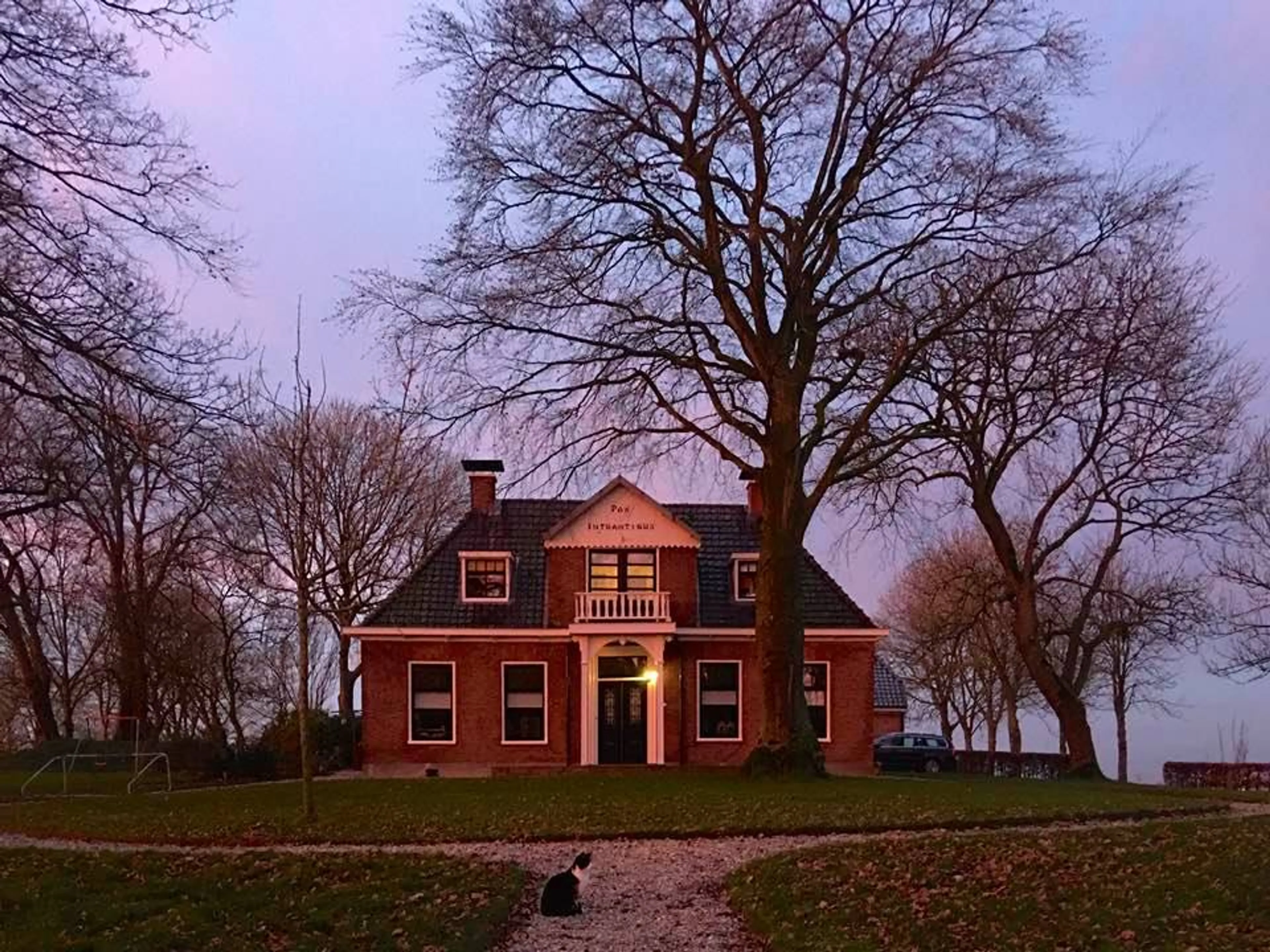 Uitgelichte afbeelding