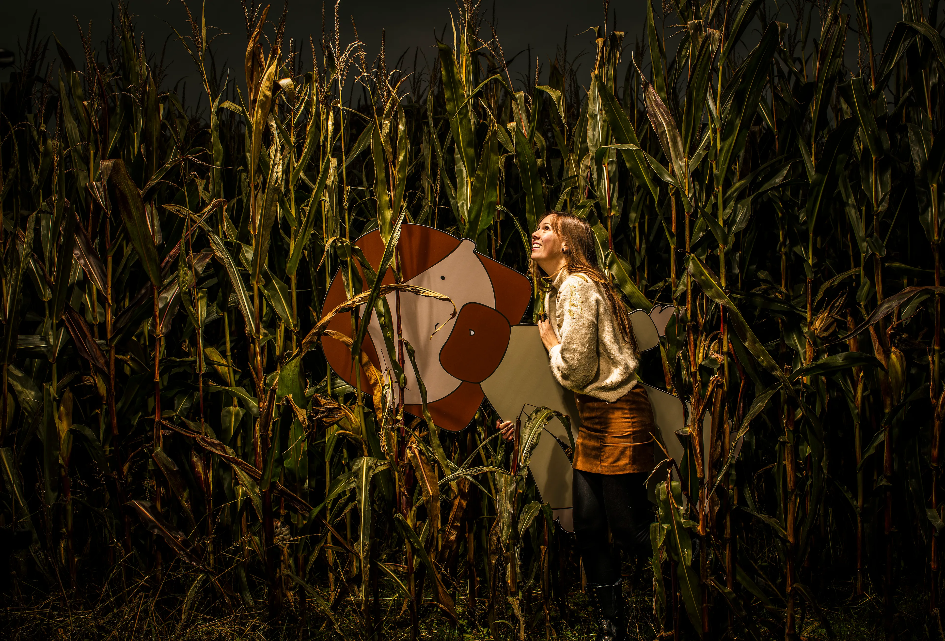 Uitgelichte afbeelding