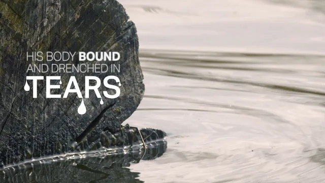 O Praise the Name van Hillsong Worship.