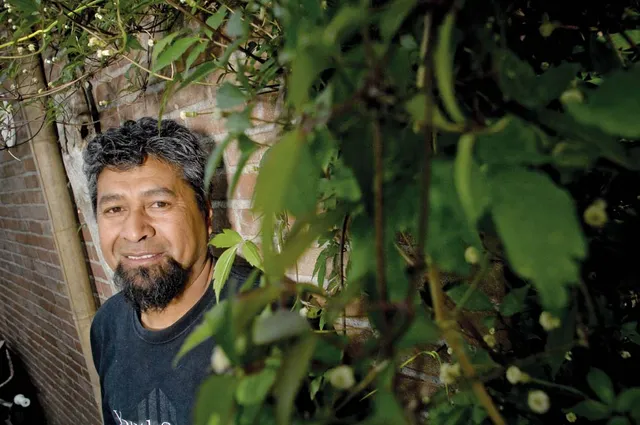 Uitgelichte afbeelding