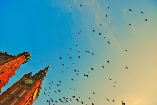 Uitgelichte afbeelding