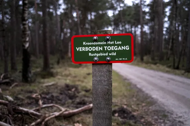 Kroondomein: Koning moet stoppen met jagen.