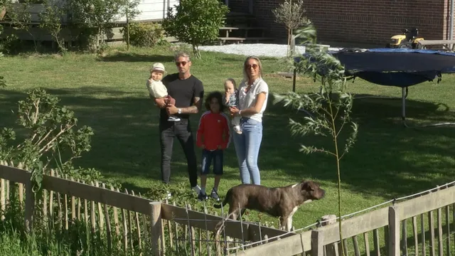 Uitgelichte afbeelding