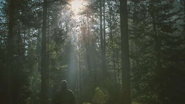 Uitgelichte afbeelding