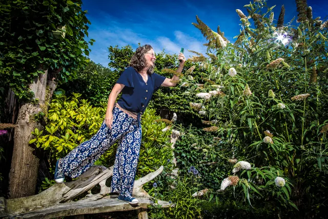 Uitgelichte afbeelding