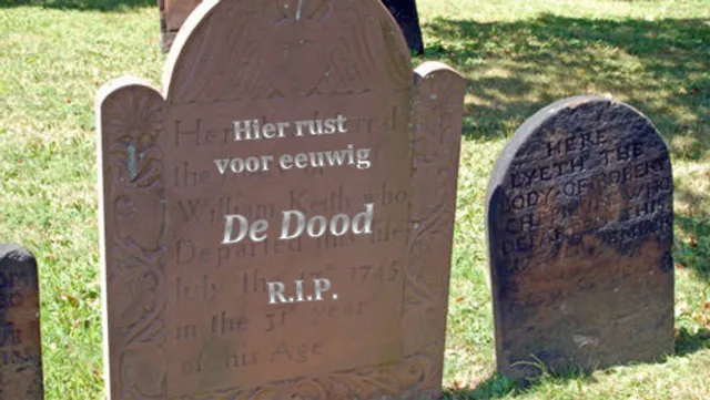 Uitgelichte afbeelding