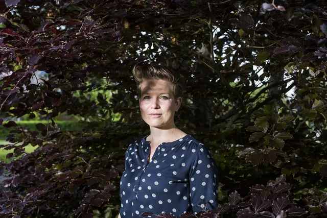 Uitgelichte afbeelding