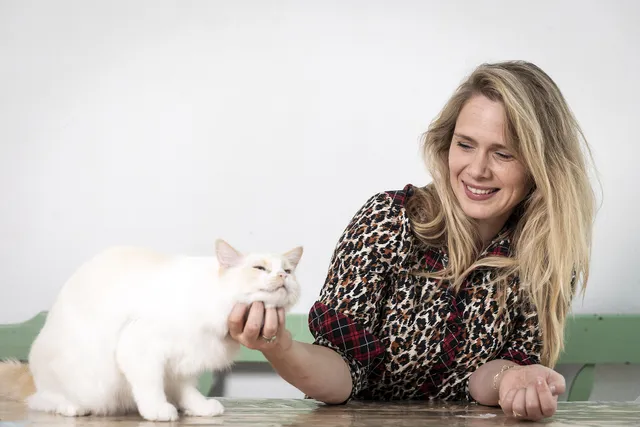 Uitgelichte afbeelding