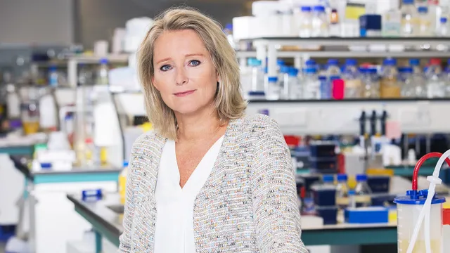 Uitgelichte afbeelding