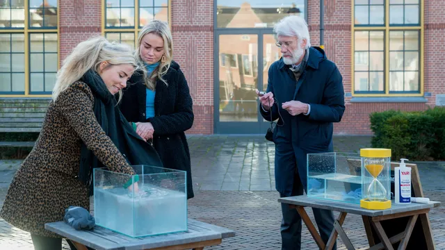 Uitgelichte afbeelding