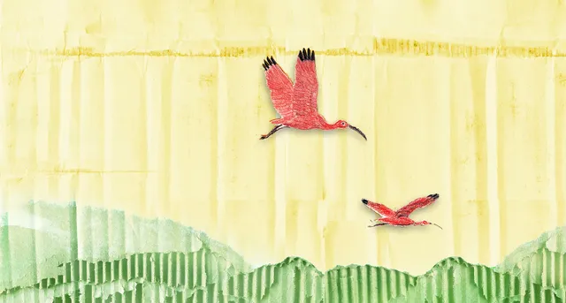 Uitgelichte afbeelding