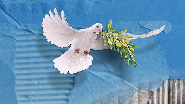 Uitgelichte afbeelding