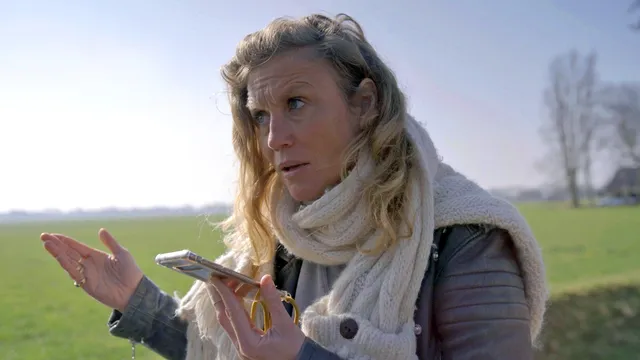 Uitgelichte afbeelding