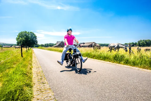 Uitgelichte afbeelding