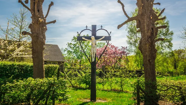 Uitgelichte afbeelding