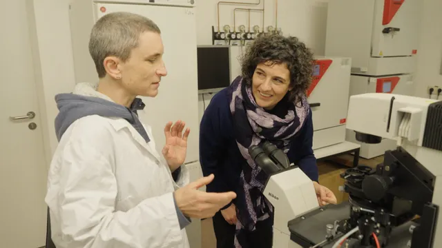 Uitgelichte afbeelding