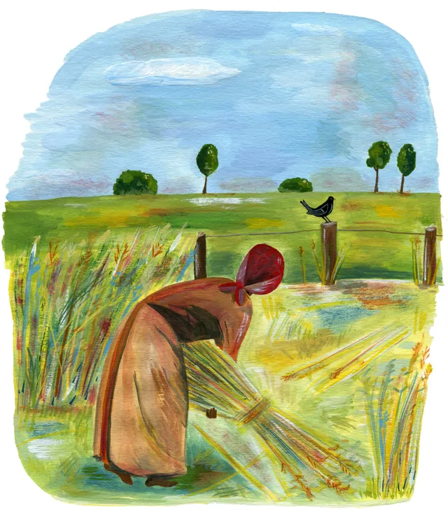 Uitgelichte afbeelding