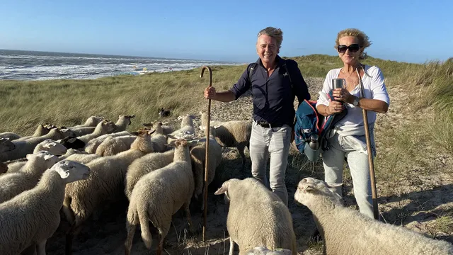 Uitgelichte afbeelding