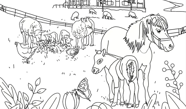 Uitgelichte afbeelding