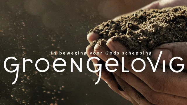 Uitgelichte afbeelding