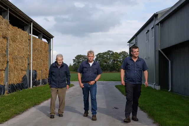 Uitgelichte afbeelding