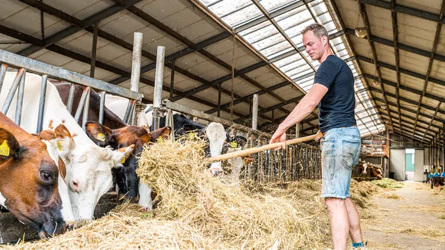 Uitgelichte afbeelding