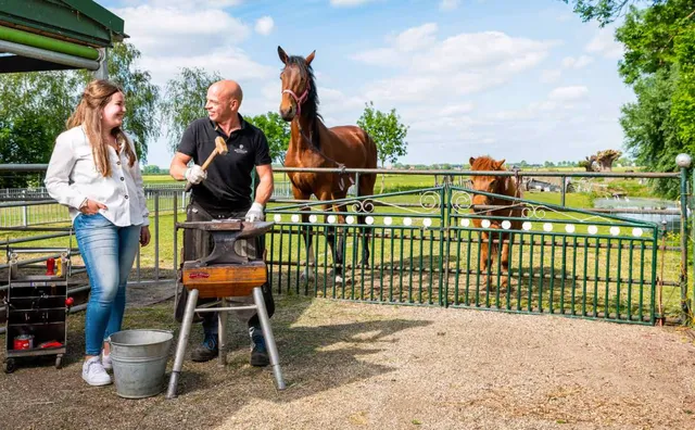 Uitgelichte afbeelding