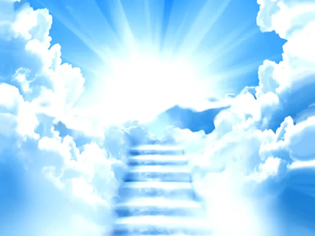 Boek van Alex Malarkey blijkt een leugen.