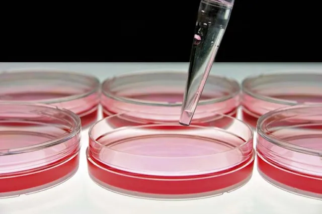 Uitgelichte afbeelding