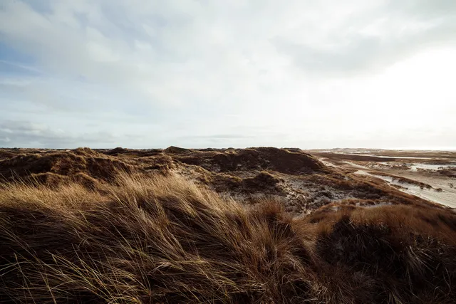 Lees ook: De wolk, dat is de jas van God.