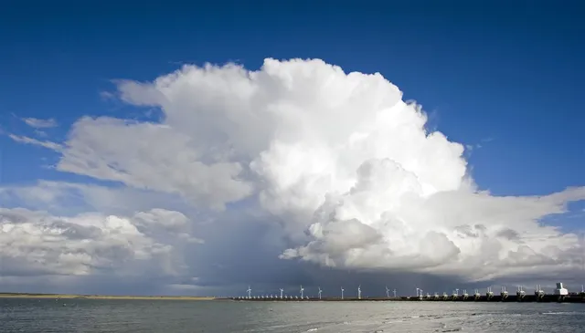 Uitgelichte afbeelding