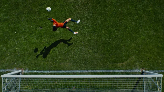 Uitgelichte afbeelding