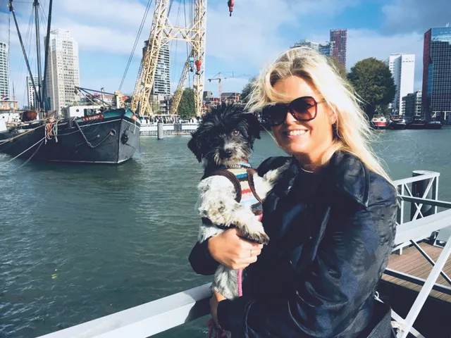 Uitgelichte afbeelding