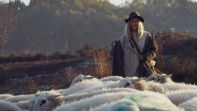 Uitgelichte afbeelding