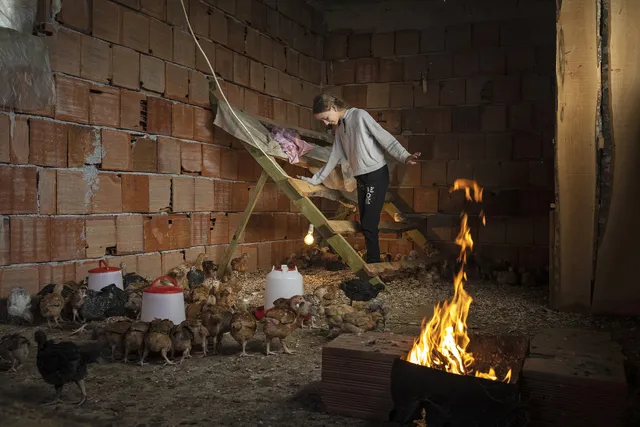 Uitgelichte afbeelding