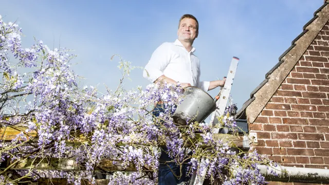 Uitgelichte afbeelding