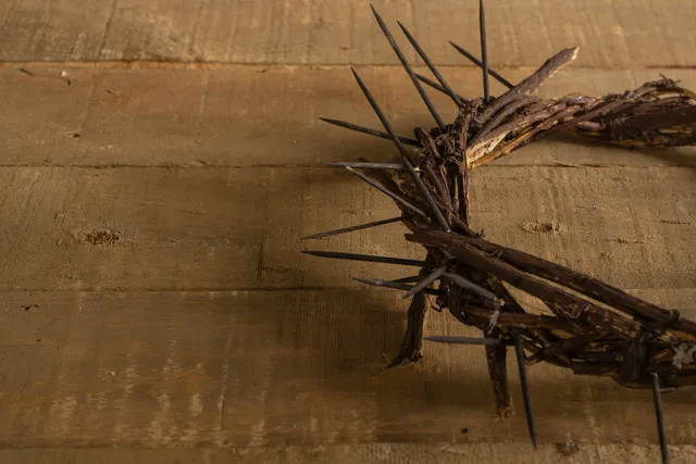 De corona van Jezus - doornenkroon.