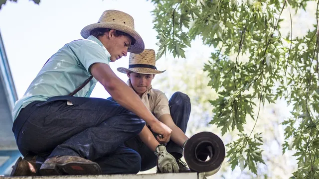 Wie zijn de amish en wat geloven zij?.