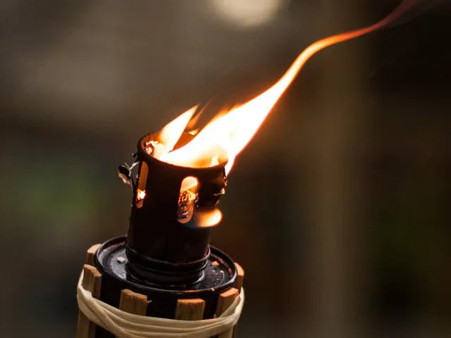 Uitgelichte afbeelding