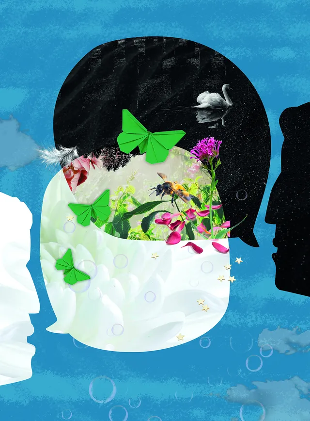 Uitgelichte afbeelding