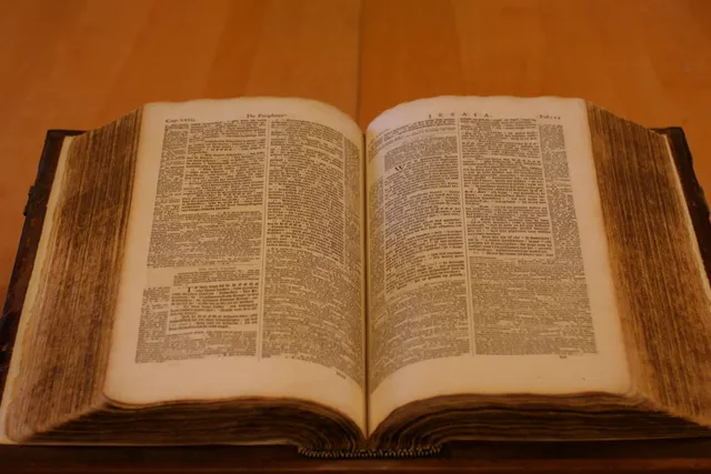 Uitgelichte afbeelding